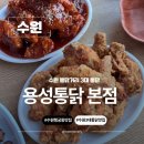 수원 맛집 수원 통닭거리 행궁동 맛집 용성통닭 본점
