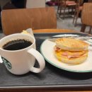 수정-3 | 서울아이나 여성의원 | 인공수정 3차 후기 | 과배란 약 복용, 예상보다 빨라진 배란과 난포 2개