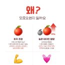 오렌지빠 이미지