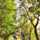 5월1일(수)근로자의날 과천 서울대공원 트레깅 공지 2030동호회 이미지