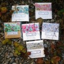 리버티 세탁소 이미지