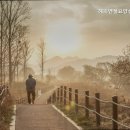 대동요양원 네이버블로그