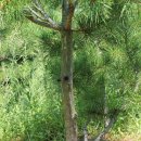 백송농장 이미지