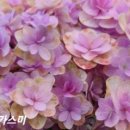 유앤미 이미지