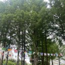 용두대로23길 | 제천 육아정보 :: 하소동 장난감도서관 이용후기