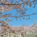 어린이공원 32호 이미지