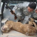 고령목장 이미지