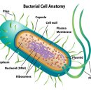 프라자약국 이미지