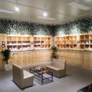 반려견 이해하기(펫) 이미지