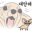 평화김해뒷고기진해 이미지