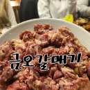 근어 | 서산 금오갈매기 내돈내산 후기 (메뉴판, 영업시간 등)