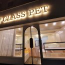 펫 탑 클래스 이미지