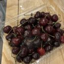 리치쌤과 소리영어 상상영어 | [중국 운남 여행 5박 7일] 2일차 (옥룡설산, 람월곡, 인상여강)