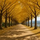 충무공이순기념관 | 아산 은행나무길, 당일치기로도 꽉 채우는 하루