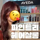 레드헤어 | 서대문역미용실 파인트리 헤어살롱 레드염색 솔직후기