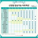 롯데프레시합천대양점 | 좀비월드 퍼레이드 관람 주차부터 명당자리와 지도 이미지파일 꿀팁 방출, 부산 기장 롯데월드어드벤처부산