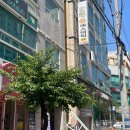 천연 오일로 관리하는 김해 삼계 아로마진 에스테틱