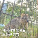 호주 시드니 페더데일 동물원 오픈런 방법, 쿼카 먹이 준 후기