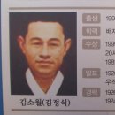 소월(素月) 이미지