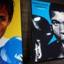 아이러브복싱 이미지