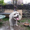 수산리마을회관 이미지