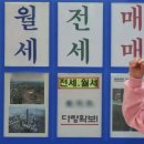 정석닷컴 이미지
