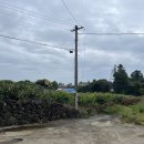 비동스테이민박 이미지