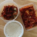좌충우돌 복학의 3월