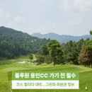 블루원 | 블루원 용인CC 후기 총정리! 맛집 회원권 그린피 코스 한 번에