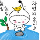 월영동177 이미지