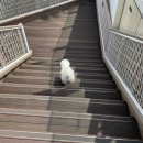 앙쥬레브 부천점 네이버블로그