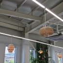 화정리막국수 이미지