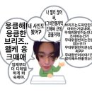 상하이베이 이미지