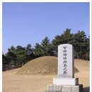 태문사 - 13282 | 태문사