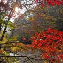 정동농협하나로마트 이미지