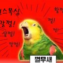 원스복싱 이미지