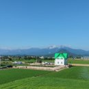 자작도사철민박 이미지