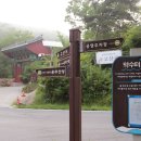 운주산 등산로 | # 운주산 산행후기_충남 세종시_2023.07.02