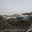 관악산 무장애숲길 Daum카페