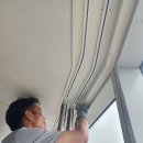전동숲
