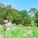 올림픽공원 티스토리