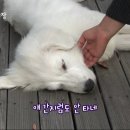 종일농장 이미지