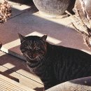 지에스25 안성칠곡 이미지