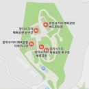 양지사거리체육공원 | 일상에 활력을 더하는 도심 속 운동 맛집! 광명 소하동 양지사거리 체육공원