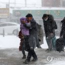 설 이미지