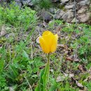 서신GDR 골프아카데미 이미지