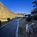 선경갈비 이미지