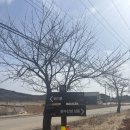 경기둘레길 김포2코스 이미지