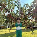 새론농장 이미지