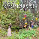 청태산자연휴양림 | 강원도 횡성 청태산자연휴양림 숙소 후기